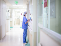 Стотици милиони левове се пилеят в болниците заради неефективни клинични пътеки 