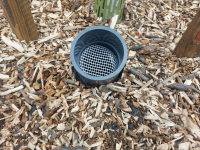 Вандали масово унищожават новозасадени дръвчета в Бургас