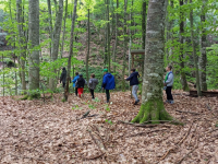 От Природен парк „Странджа“ тръгва нов 5-етапен културно-поклоннически маршрут