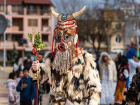 Кукери наричаха за здраве и берекет в Лозенец 