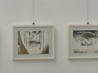 Откриха изложба с графики по стихове на Христо Фотев 