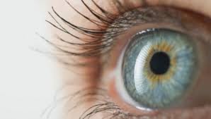 Д-р Кънчева: Не подценявайте профилактиката на очите!