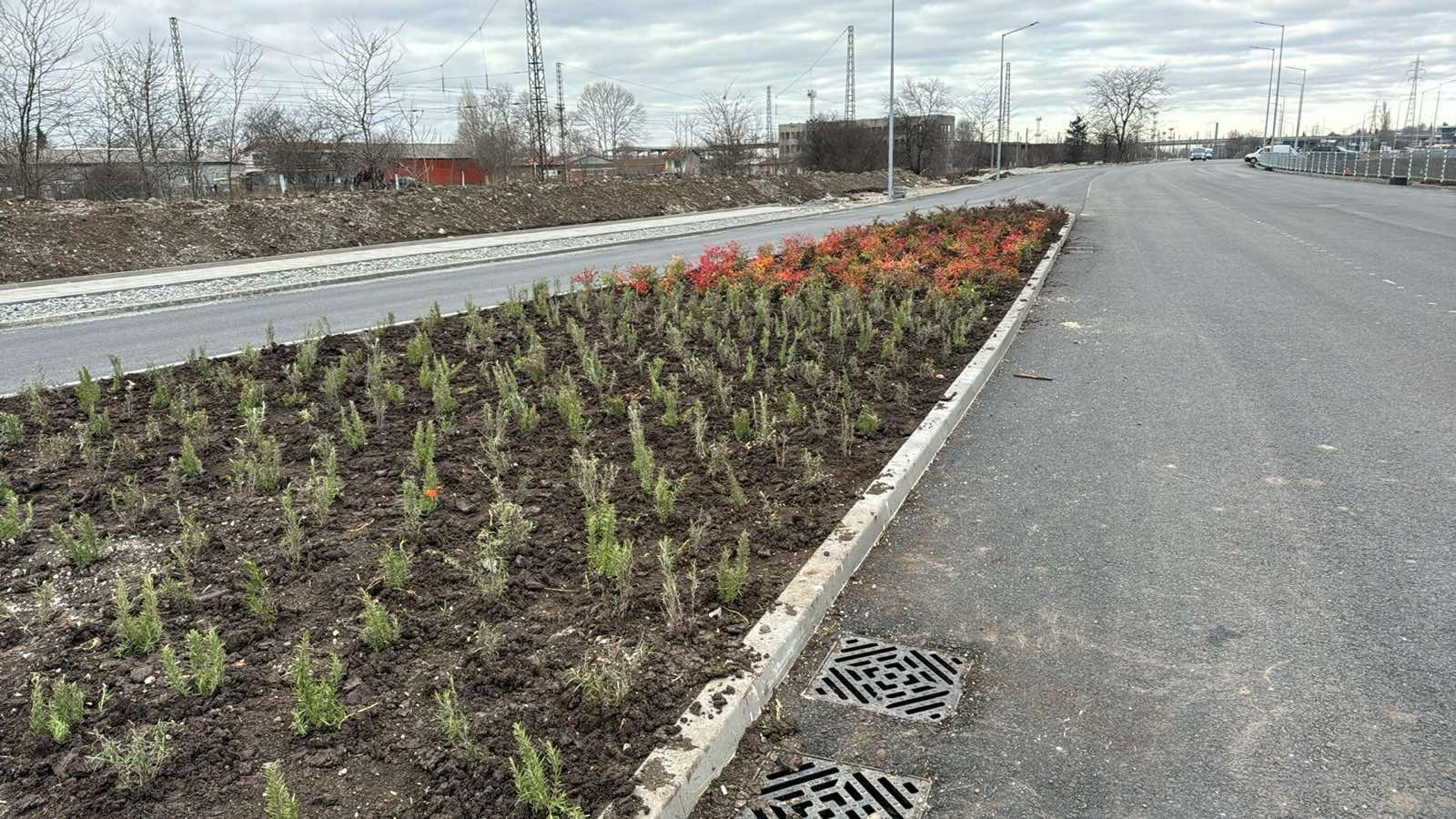 Засадиха над 200 дървета при Първи и Втори етап от ремонта на „Одрин“