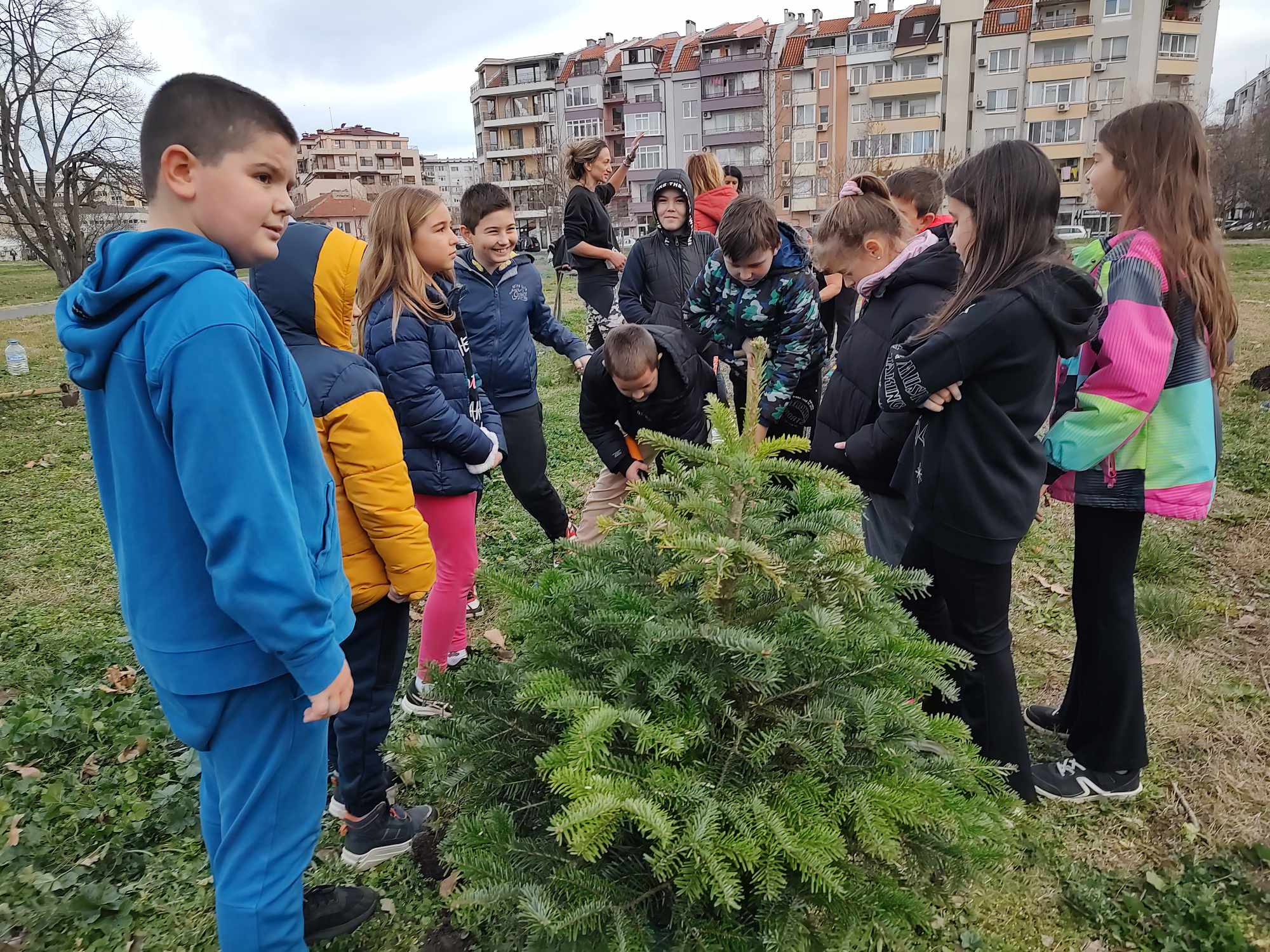 Акция "жива елха": нов живот за коледните дръвчета в Бургас 