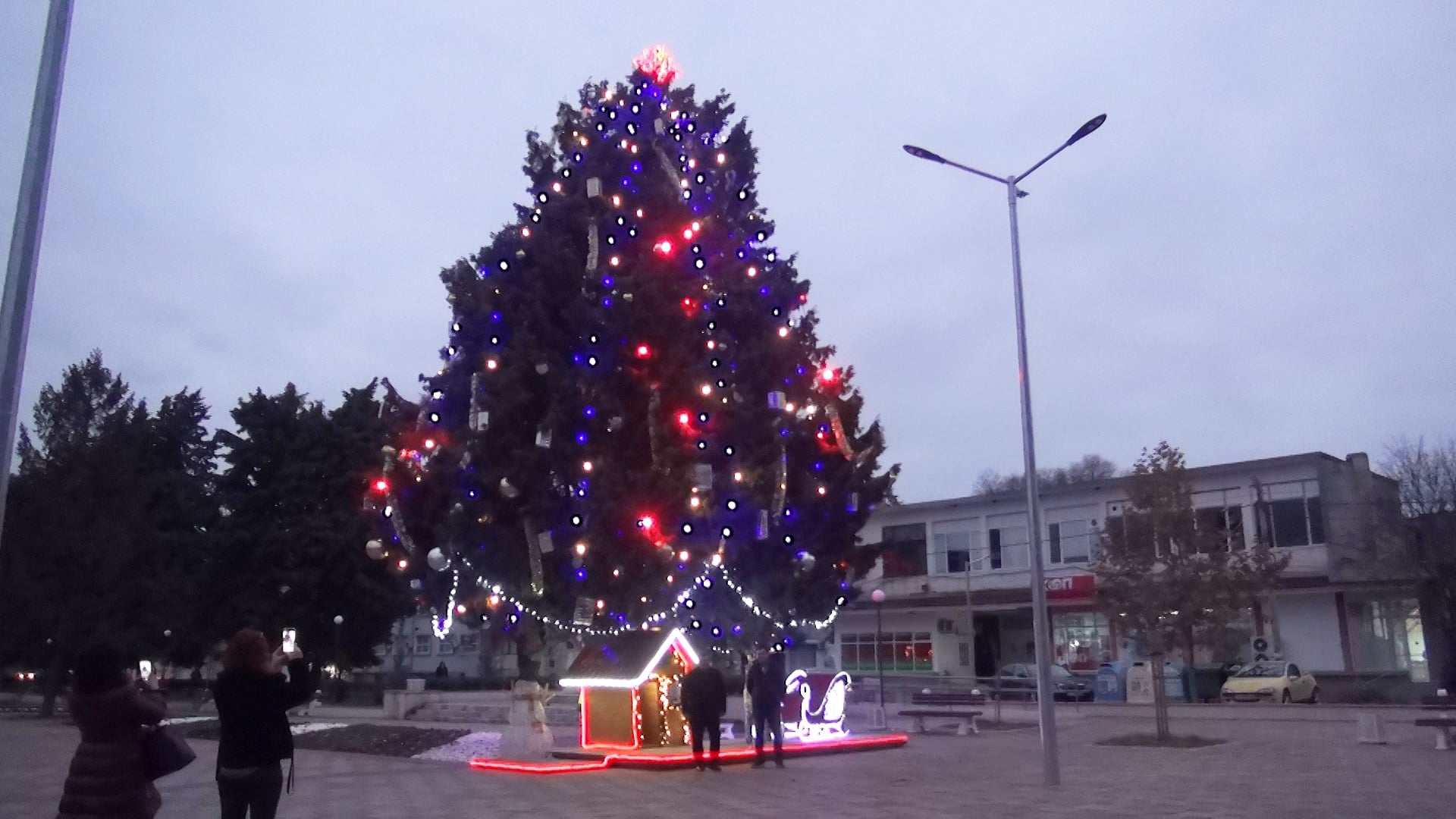 Елхата в Камено грейва на 8 декември 