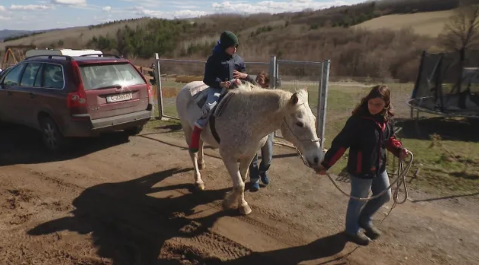 Коне помагат на деца със специални потребности