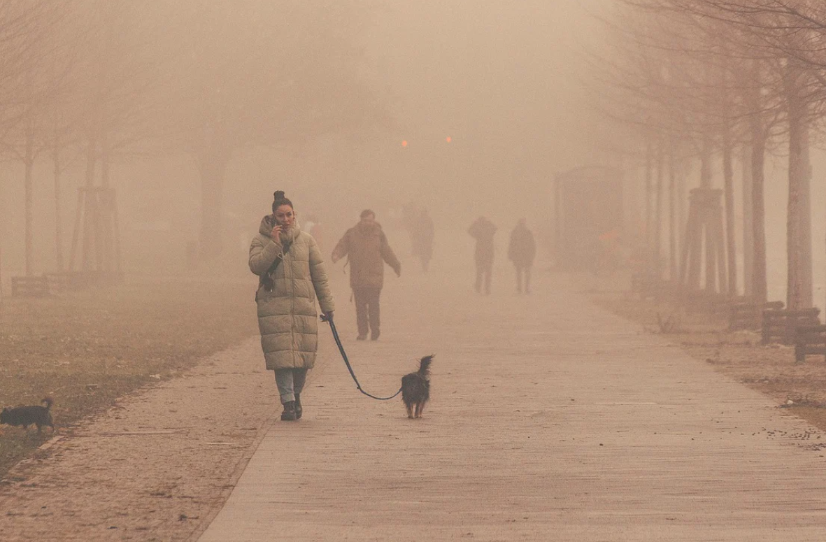 Пулмолог: хората с дихателни проблеми да ограничат престоя навън