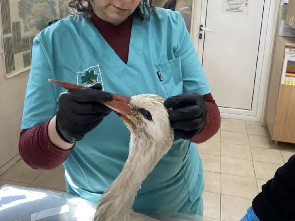 Снимки: Зелени Балкани