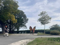 Бургас вече си има пейка за кърмачки