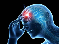 СЗО: 40% от населението в света страда от неврологично разстройство