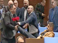 Бой, ритници и юмруци в парламента вместо политически дебат