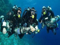 Водолази чистят морското дъно на рибарското пристанище в Созопол