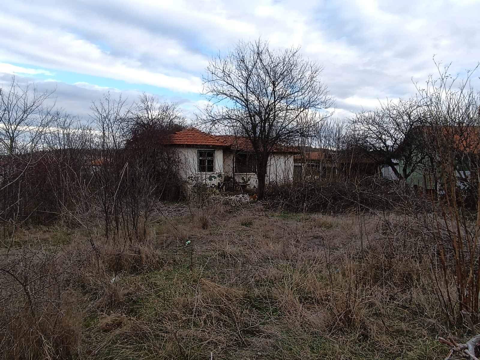 Областният Пламен Янев с нелепа ПР акция в навечерието на изборите? 